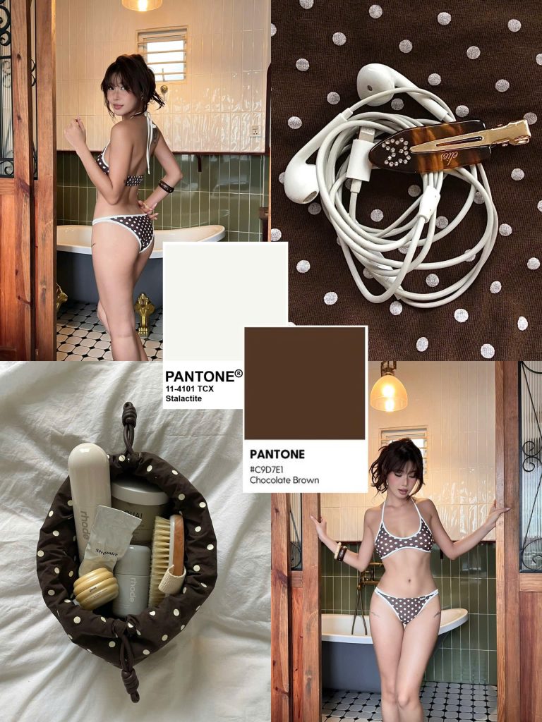 Choco Dot Bikini